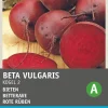 Intratuin Rote Bete (Beta vulgaris 'Rote Kugel 2') Samen
