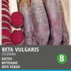 Intratuin Rote Bete lang (Beta vulgaris 'Cylindra') Samen