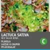 Intratuin Roter Eichblattsalat (Lactuca sativa 'Foliosa') Samen