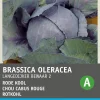 Intratuin Rotkohl (Brassica oleracea 'Langedijker Dauer') Samen