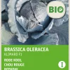 Intratuin Rotkohl (Brassica oleracea 'Langedijker Dauer') (BIO) Samen