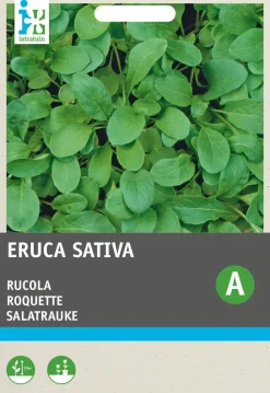 Intratuin Rucola (Eruca sativa 'Coltivata') Samen