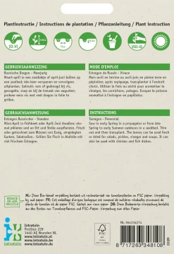 Intratuin Russischer Estragon (Artemisia dracunculus) Samen