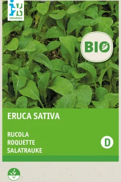 Intratuin Salatrauke (Eruca sativa) (BIO) Samen