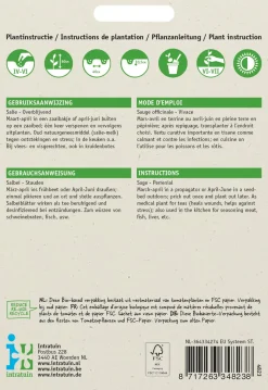 Intratuin Salbei (Salvia officinalis) Samen