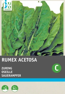 Intratuin Sauerampfer (Rumex acetosa) Samen