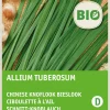 Intratuin Schnittknoblauch (Allium tuberosum) (BIO) Samen