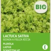Intratuin Schnittsalat (Lactuca sativa 'Bionda a Foglia Riccia') (BIO) Samen