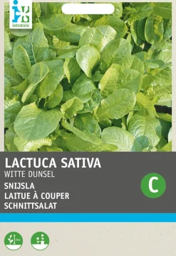 Intratuin Schnittsalat (Latuca sativa) Samen