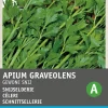 Intratuin Schnittsellerie (Apium graveolens) Samen