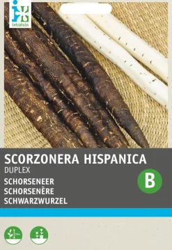 Intratuin Schwarzwurzel (Scorzonera hispanica 'Duplex') Samen