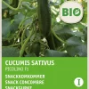 Intratuin Snackgurke (Cucumis sativus 'Picolino') (BIO) Samen