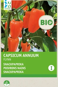 Intratuin Snackpaprika (Capsicum annuum 'Flyn oranje') (BIO) Samen
