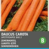 Intratuin Sommermöhren (Daucus carota 'Amsterdamse Bak') Samen
