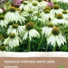 Intratuin Sonnenhut (Echinacea 'White Swan') (BIO) Blumenzwiebel 1 St.