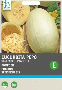 Intratuin Speisekürbis (Cucurbita 'Vegetable spaghetti') Samen
