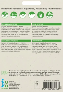 Intratuin Speisekürbis (Cucurbita 'Vegetable spaghetti') Samen