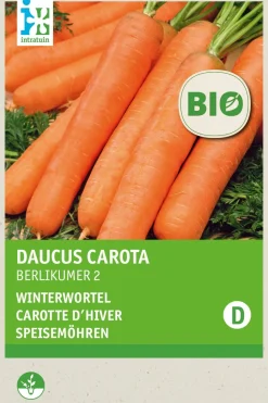Intratuin Speisemöhren (Daucus carota 'Berlikum 2') (BIO) Samen