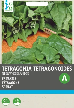Intratuin Spinat Neuseeländer (Tetragonia tetragonoides) Samen