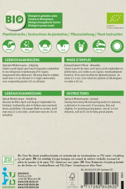 Intratuin Spinat (Spinacia oleracea 'Securo') (BIO) Samen