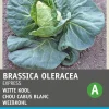 Intratuin Spitzkohl (Brassica oleracea 'Express') Samen