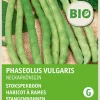 Intratuin Stangenbohne (Phaseolus vulgaris 'Neckarkönigin') (BIO) Samen