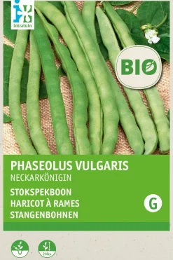 Intratuin Stangenbohne (Phaseolus vulgaris 'Neckarkönigin') (BIO) Samen