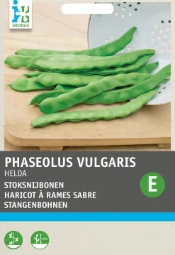 Intratuin Stangenbohne (Phaseolus vulgaris 'Helda') Samen