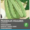Intratuin Stangenbohne (Phaseolus vulgaris 'Raadsheer type Veense') Samen