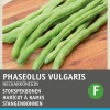 Intratuin Stangenbohne (Phaseolus vulgaris 'Neckarkönigin') (BIO) Samen