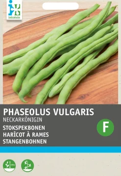 Intratuin Stangenbohne (Phaseolus vulgaris 'Neckarkönigin') (BIO) Samen