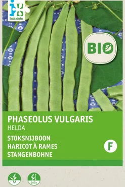Intratuin Stangenbohne (Phaseolus vulgaris 'Helda') (BIO) Samen