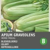 Intratuin Stangensellerie (Apium graveolens 'Groene van Pascal') Samen