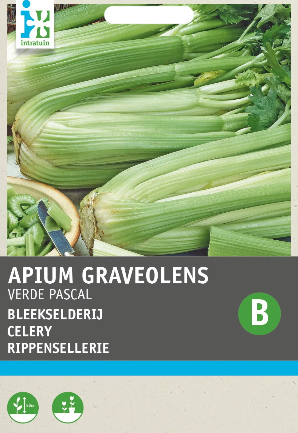 Intratuin Stangensellerie (Apium graveolens 'Groene van Pascal') Samen