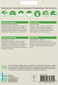 Intratuin Staudenmajoran (Origanum vulgare) Samen
