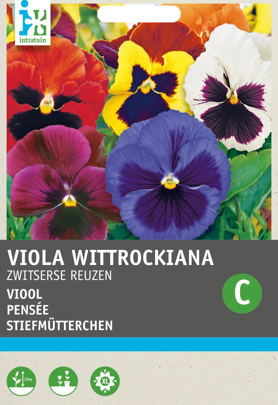 Intratuin Stiefmütterchen (Viola wittrockiana 'Schweizer Riesen') Blumensamen-Mischung