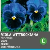 Intratuin Stiefmütterchen dunkelblau (Viola wittrockiana 'Alpensee') Blumensamen
