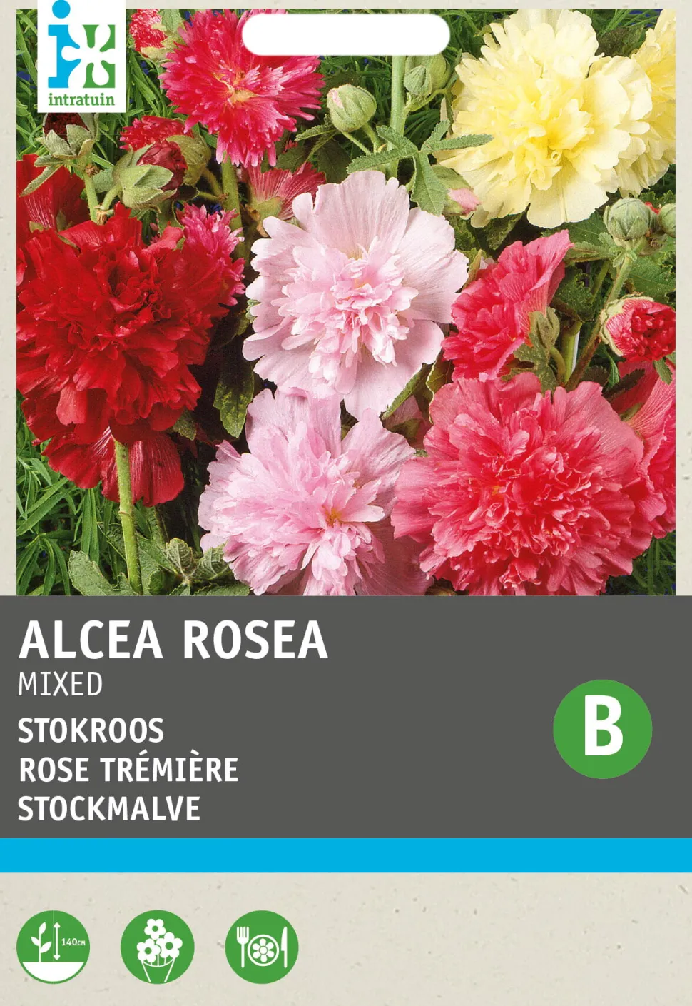 Intratuin Stockmalve (Althaea rosea 'Summer Carnival') Blumensamen