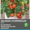 Intratuin Strauchtomate (Solanum lycopersicum 'Maja Origineel') Samen