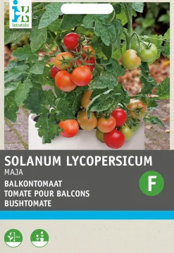 Intratuin Strauchtomate (Solanum lycopersicum 'Maja Origineel') Samen