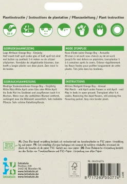 Intratuin Studentenblume orange (Tagetes patula nana 'Orange Boy') Blumensamen