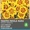 Intratuin Studentenblume goldgelb-braun (Tagetes patula nana 'Granada') Blumensamen