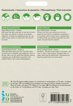 Intratuin Studentenblume orange (Tagetes patula 'Hawaii') Blumensamen