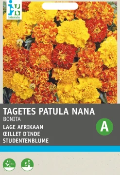 Intratuin Studentenblume (Tagetes patula nana 'Bonita') Blumensamen-Mischung