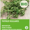 Intratuin Thymian (Thymus vulgaris) (BIO) Samen