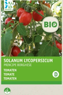 Intratuin Tomate (Solanum Lycopersicum 'Principe Borghese') (BIO) Samen