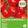 Intratuin Tomate (Solanum lycopersicum 'Roma') (BIO) Samen