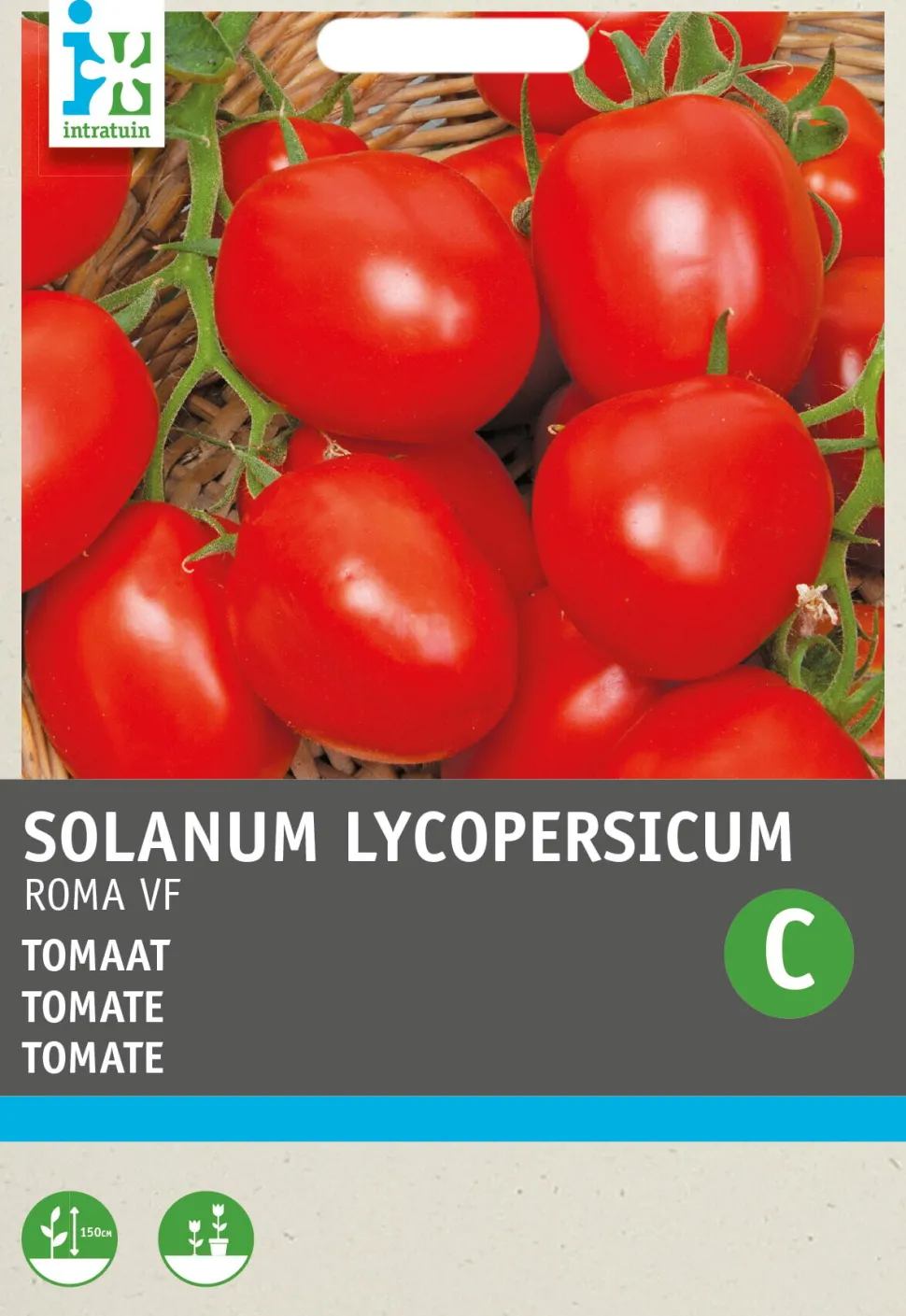 Intratuin Tomate (Solanum lycopersicum 'Roma') Samen