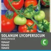Intratuin Tomate (Solanum lycopersicum 'Moneymaker') Samen