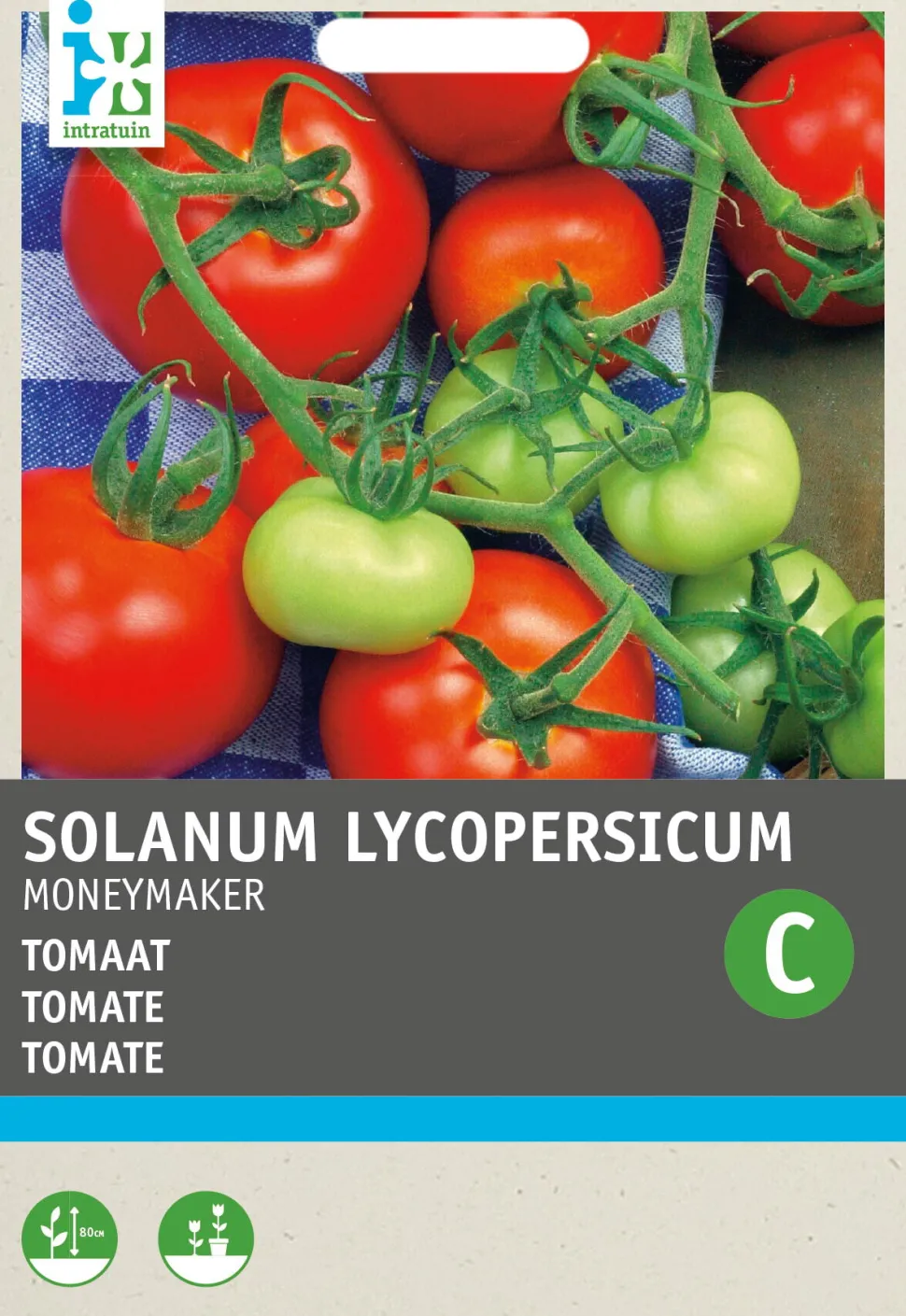 Intratuin Tomate (Solanum lycopersicum 'Moneymaker') Samen